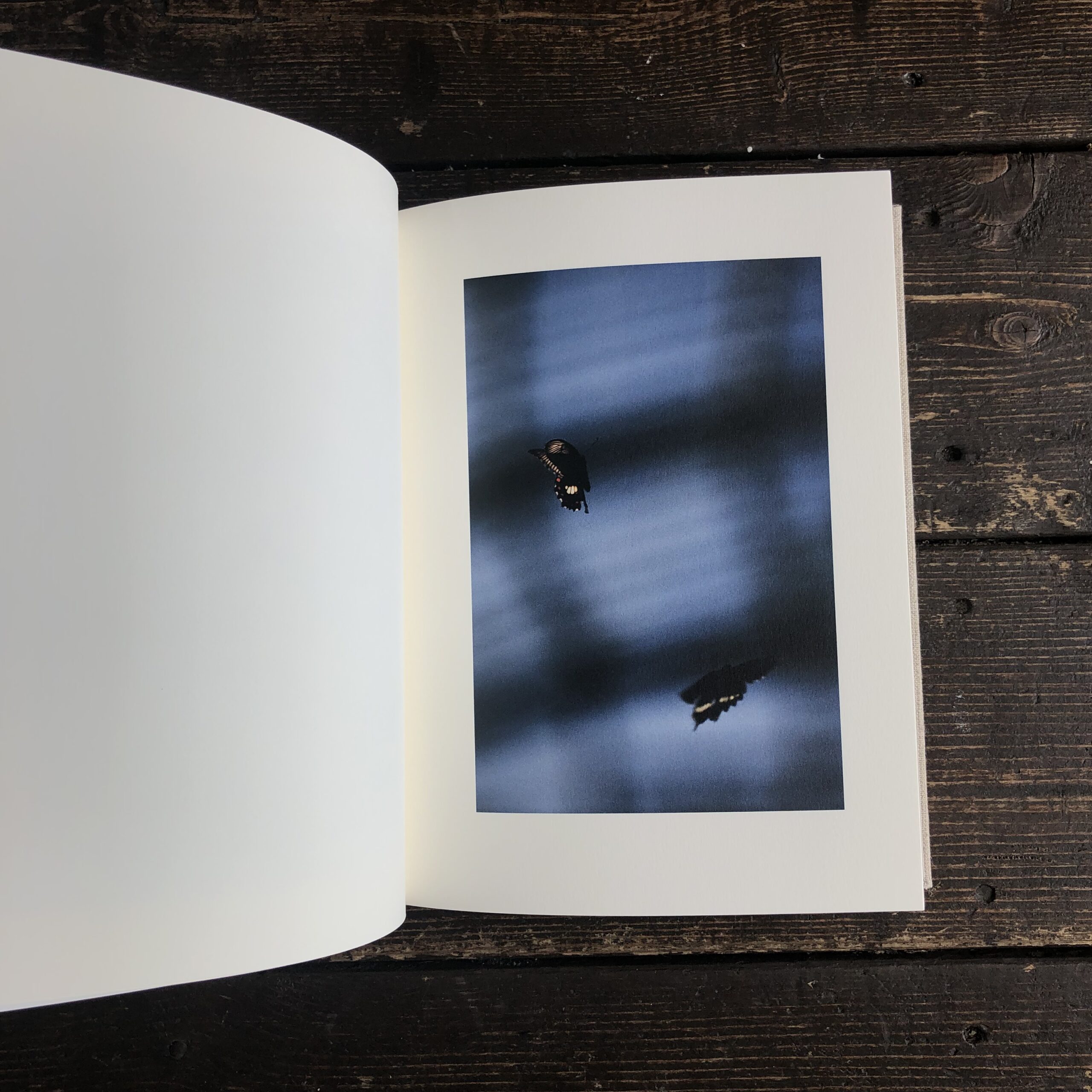 KANON | Online Store | POETIC SCAPE