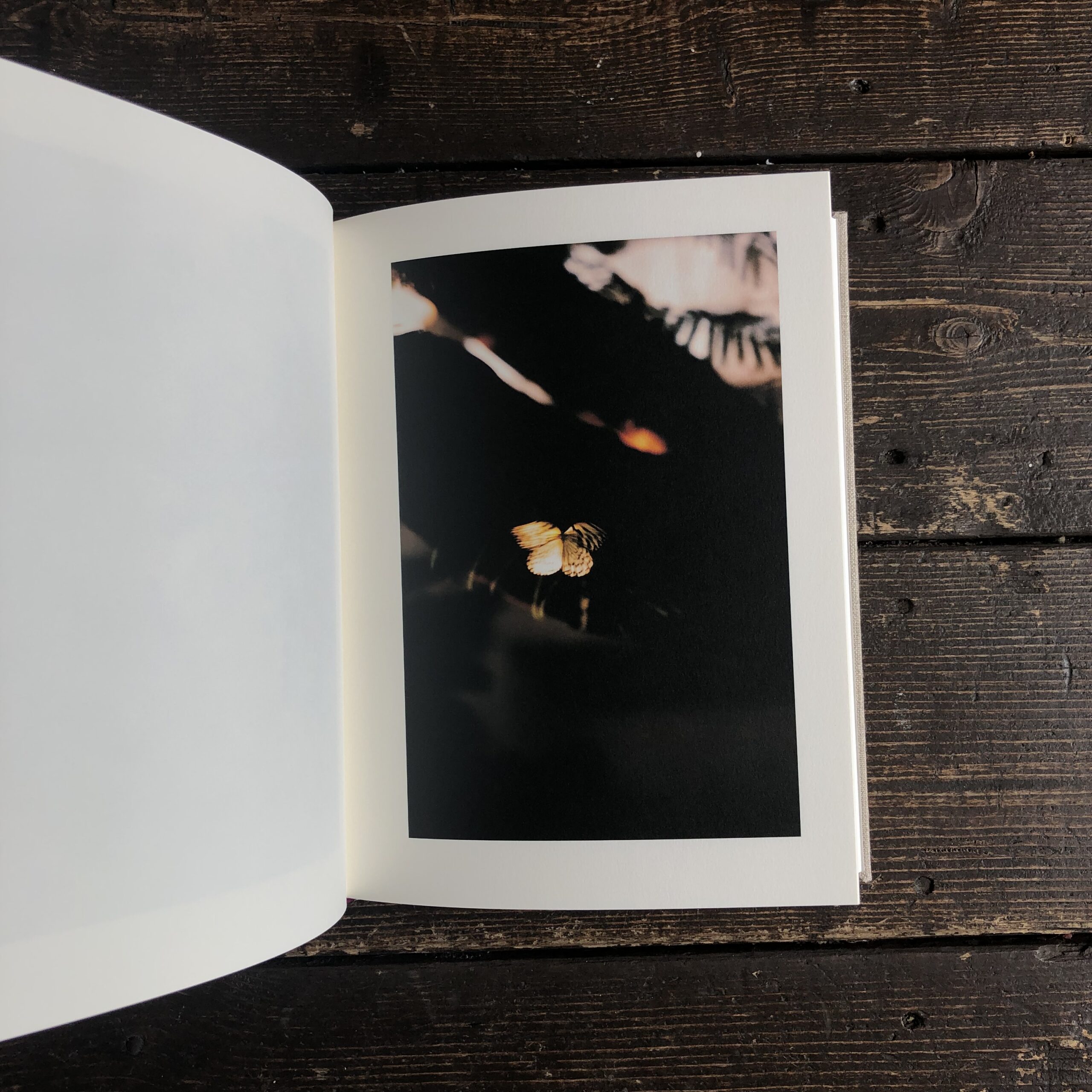 KANON | Online Store | POETIC SCAPE